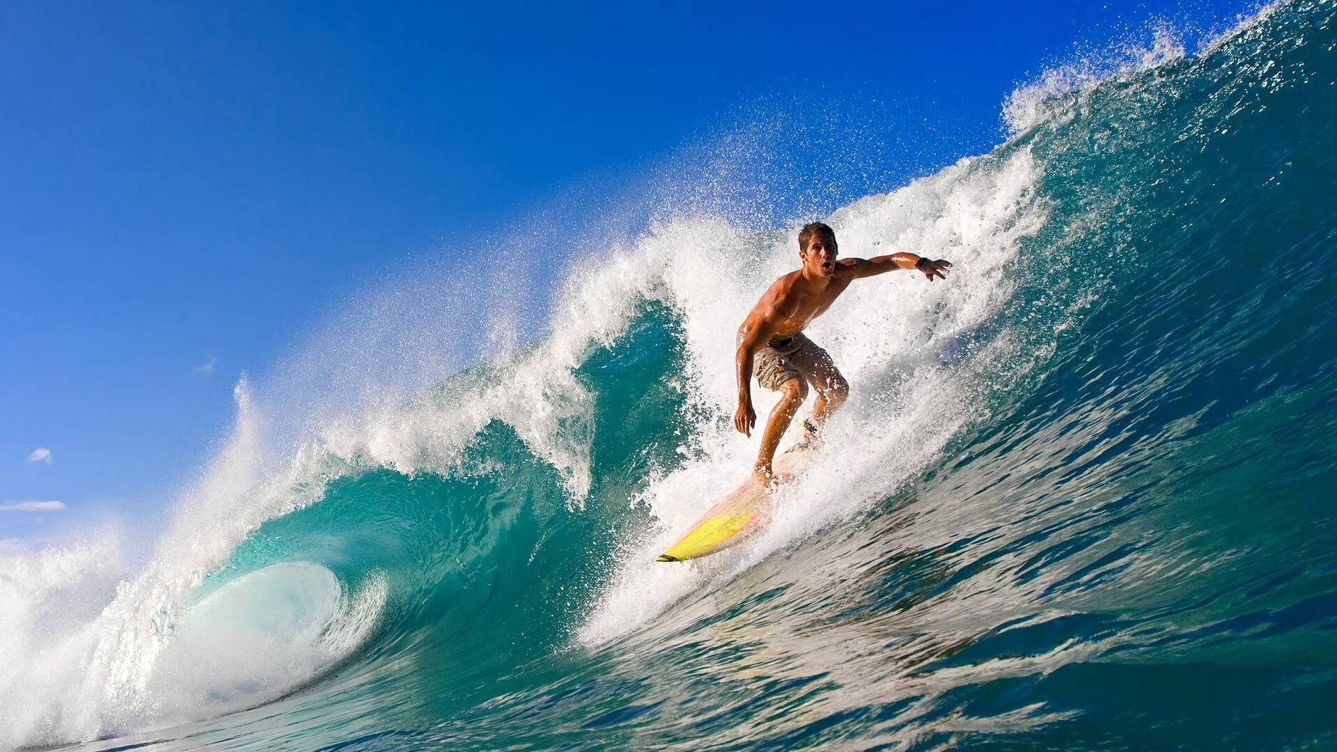 _温布尔登草地赛场发生惊天逆转，年轻球员闪耀全场_，温布尔登冠军